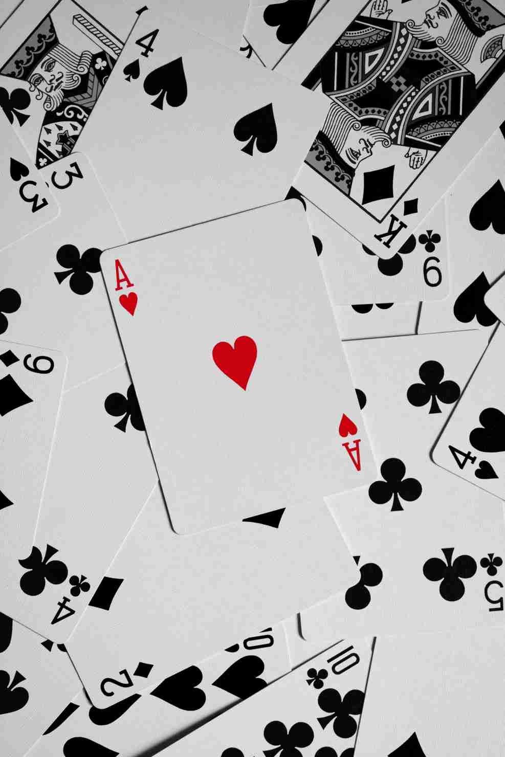 cat casino cat casino